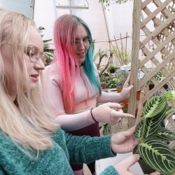 Students examine plants