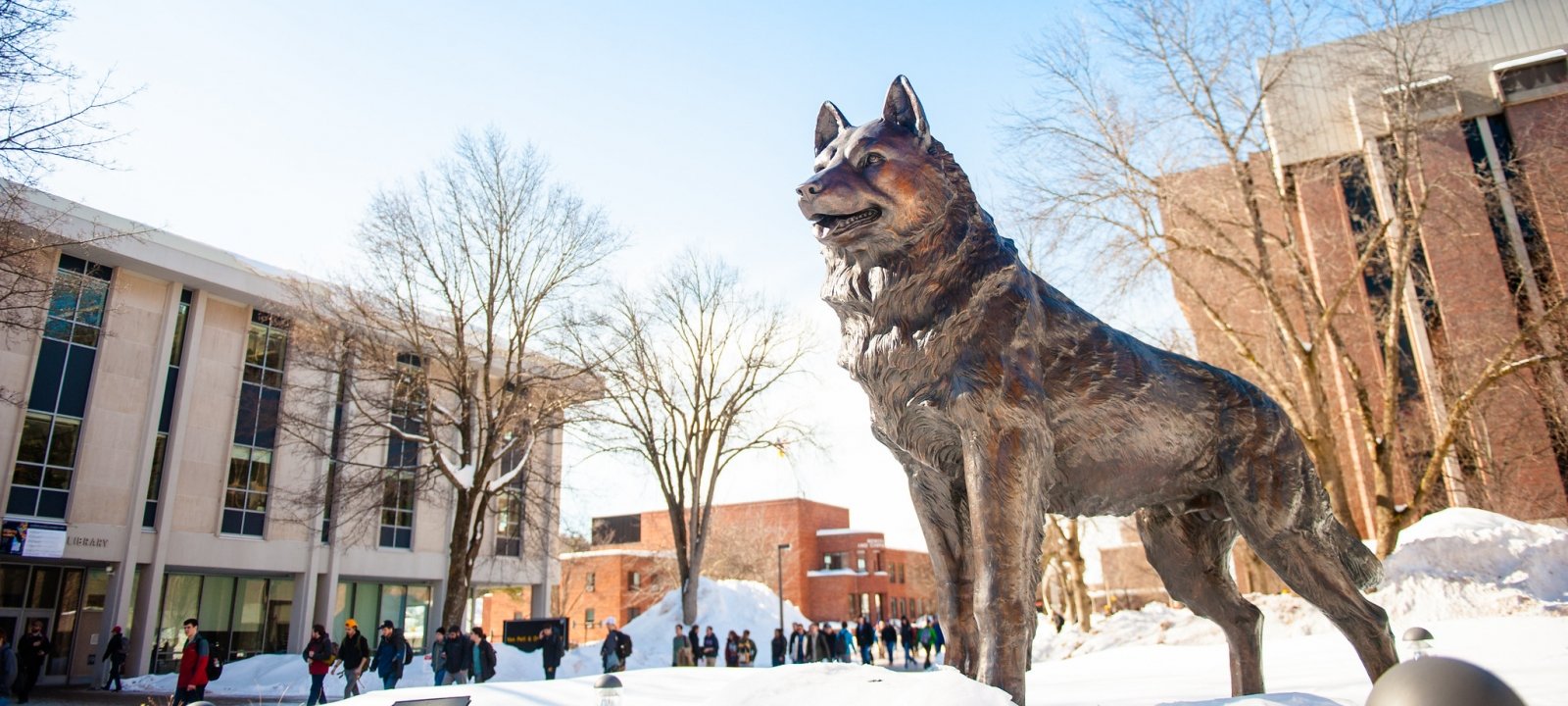 Husky statue in winter