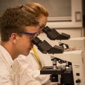 A young man and young woman look through microscopes