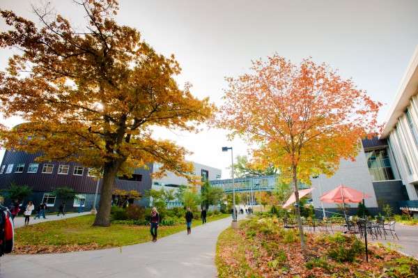Fall Campus