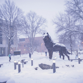 SnowyHusky