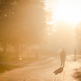 Fall Campus Fog20141016_0004