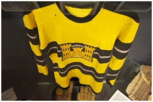 MTU Engineers Crested Jersey