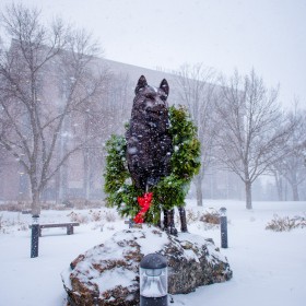 Holiday Husky Statue 201512170001