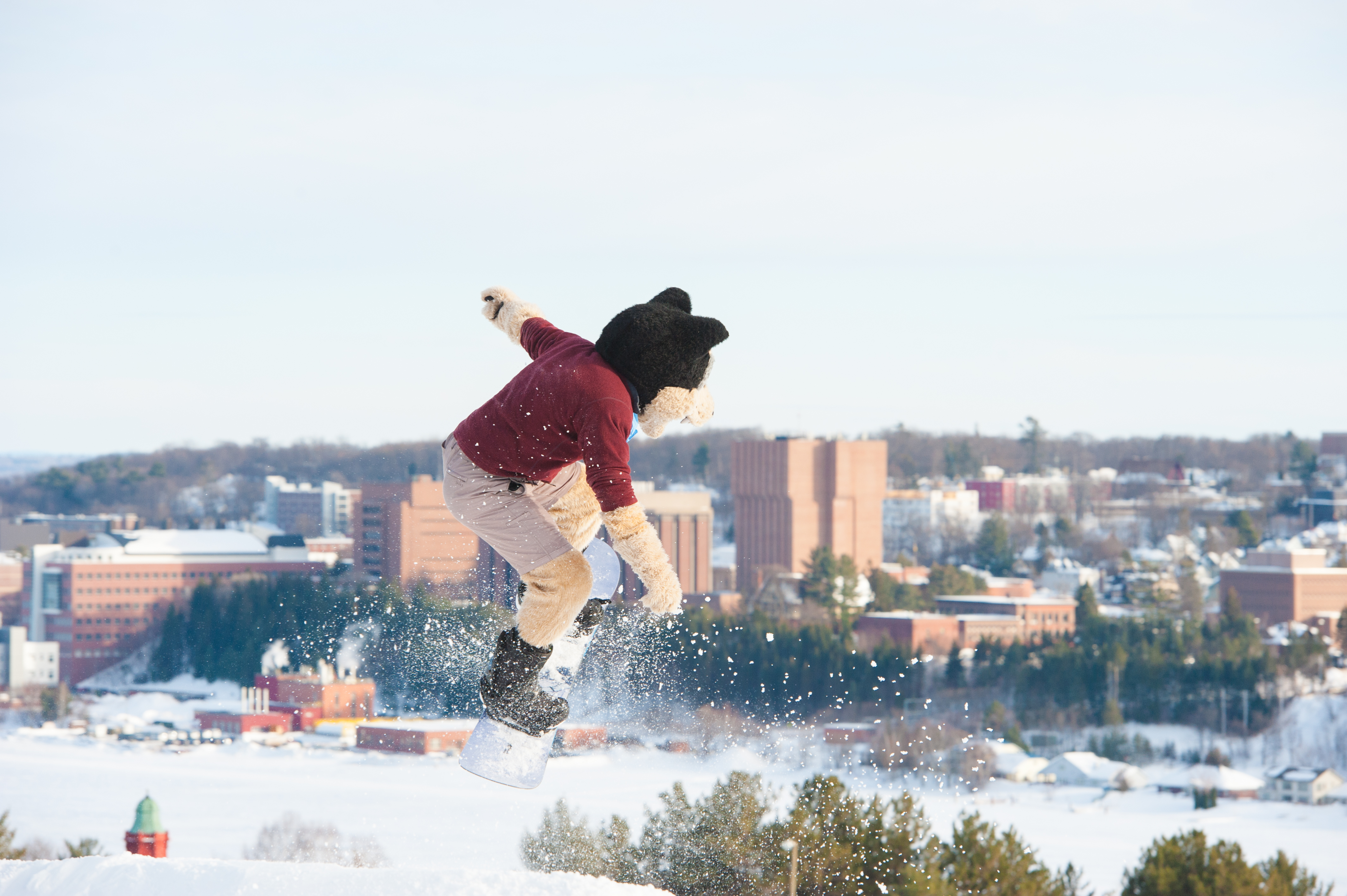 Blizzard Skiing 20180301_0162