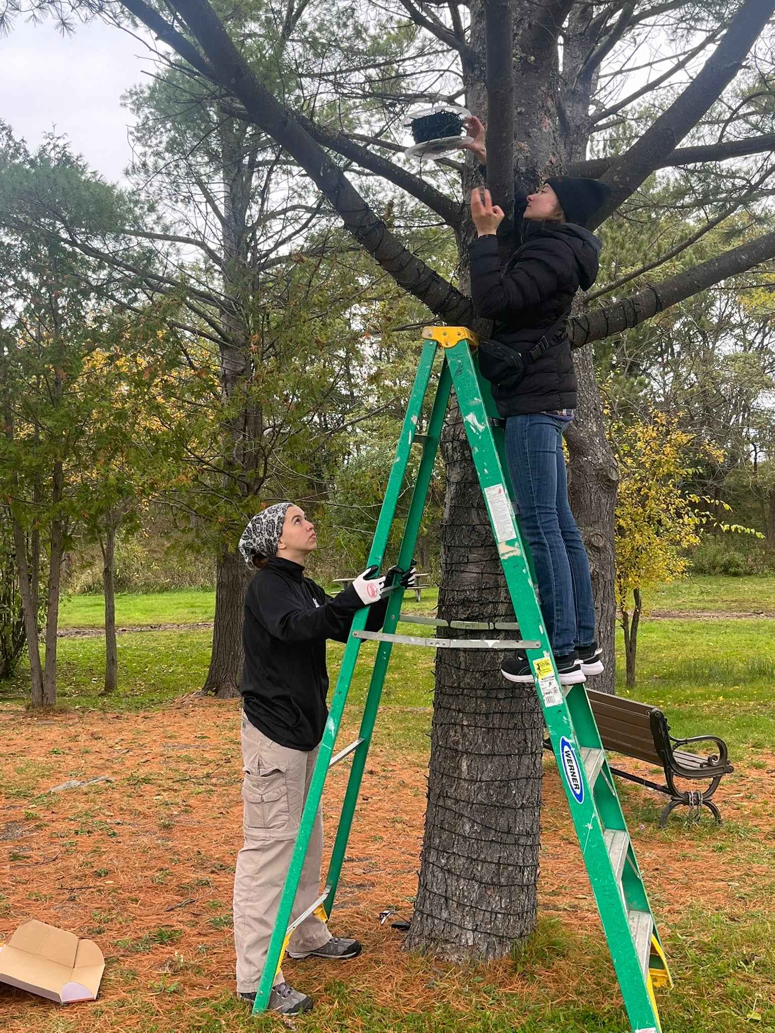 Two people stringing up christmas lights