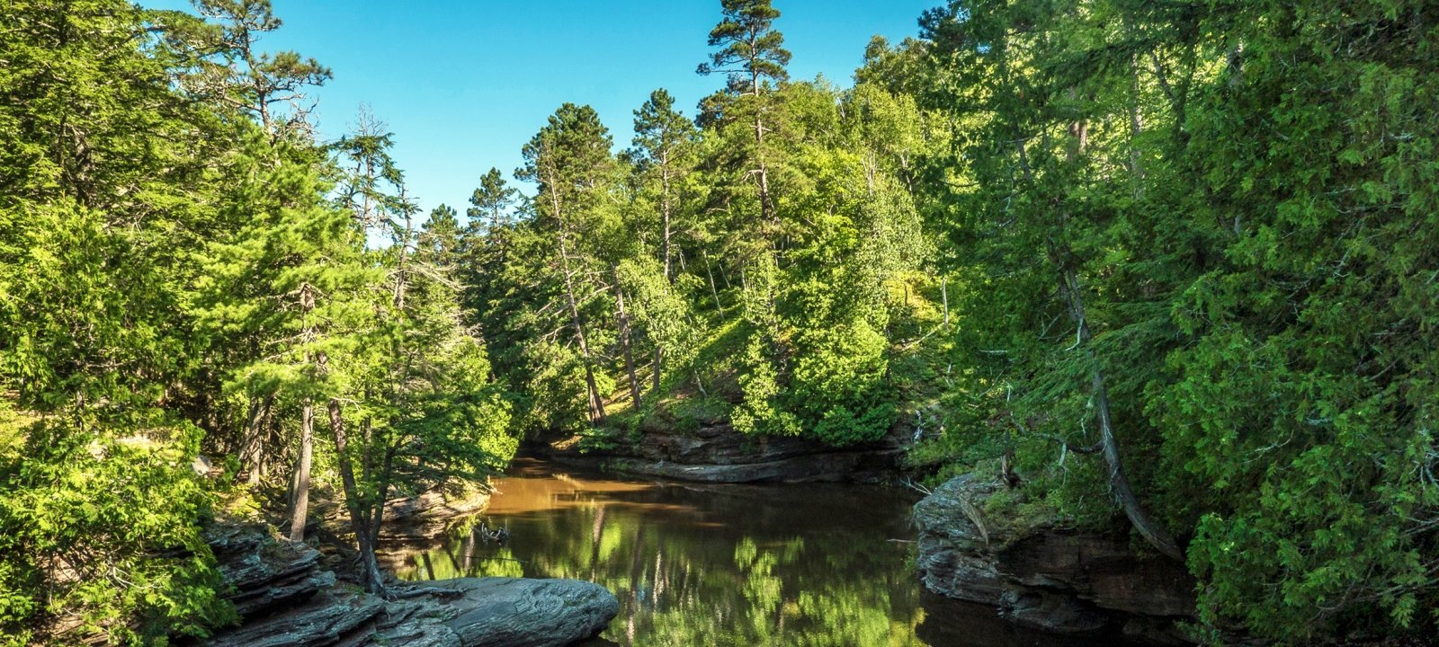 A river runs through the woods