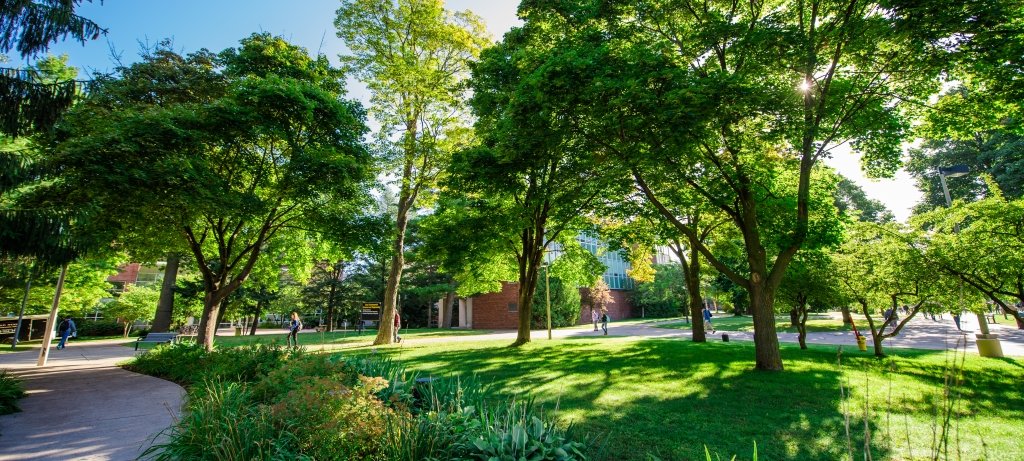 Michigan Tech's campus in the summer.