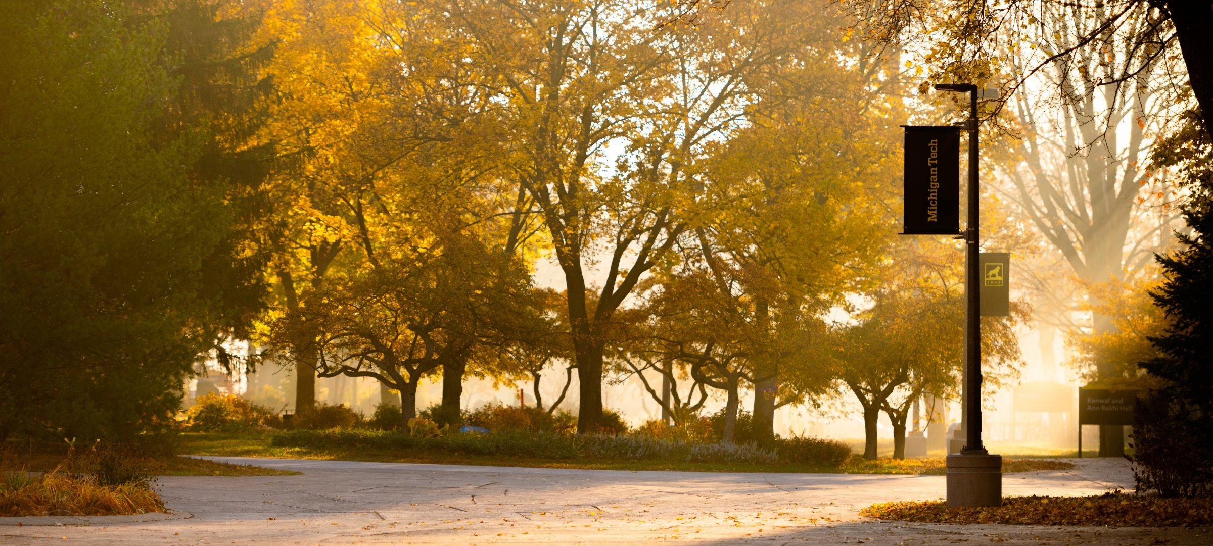 Light entering campus through the fall colored leaves of trees