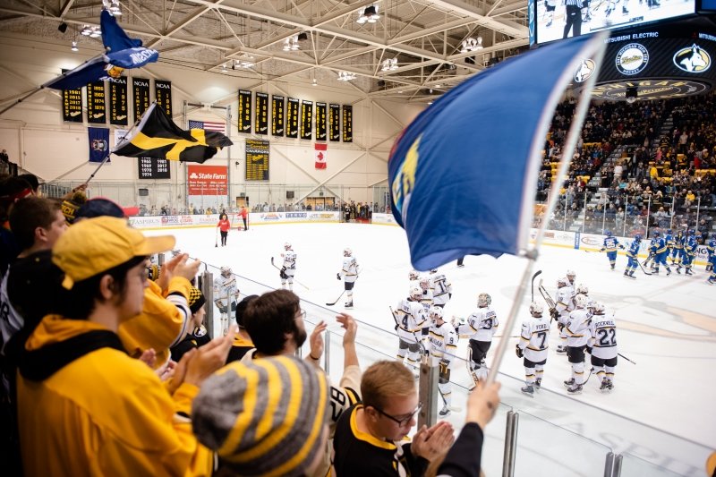 Students cheering at a hockey game.