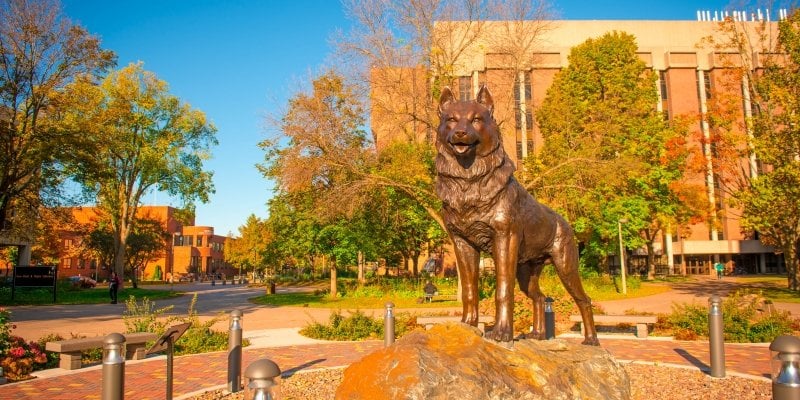 The Husky Statue