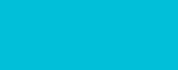 PMS 3115 color swatch.