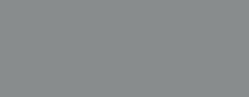 PMS 423 color swatch.
