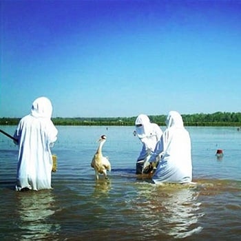 People with a large bird in the water.