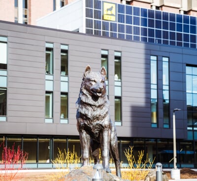 The Husky Statue in front of the H-STEM Complex.
