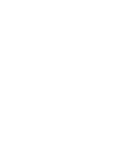 Logo: Husky Icon white