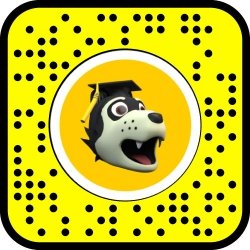 Yellow square with black dots and a husky wearing a graduation cap image in the middle.