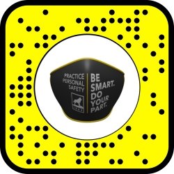 Snapcode Be Smart Do Your Part mask.