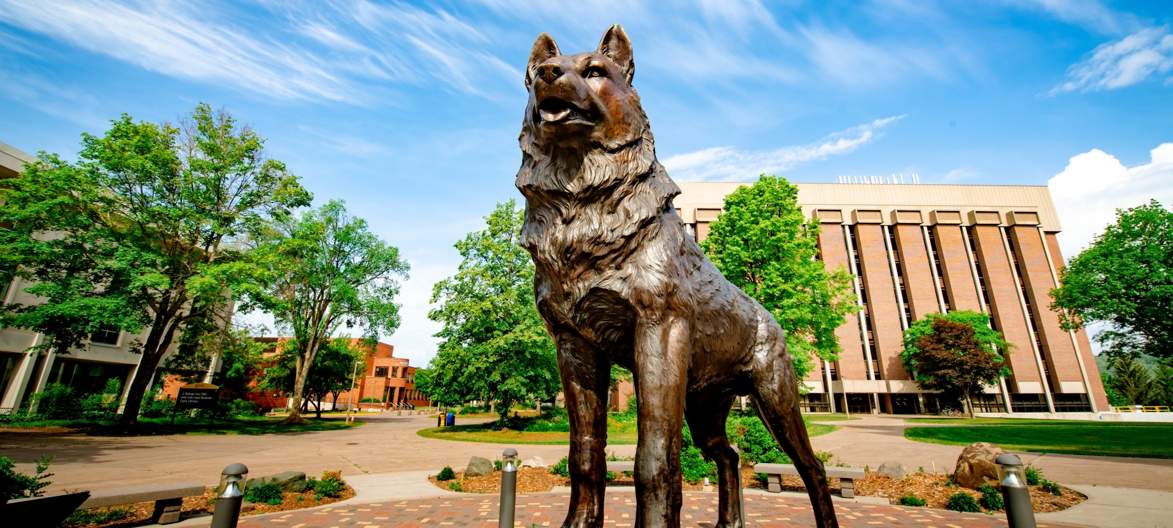 The Husky Statue on campus.