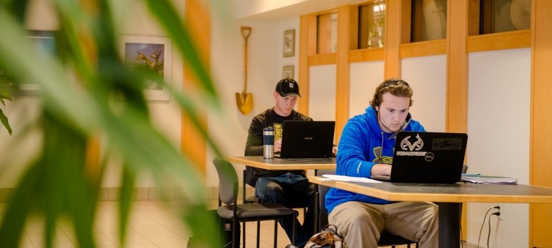 Two students sitting at tables working at laptops.