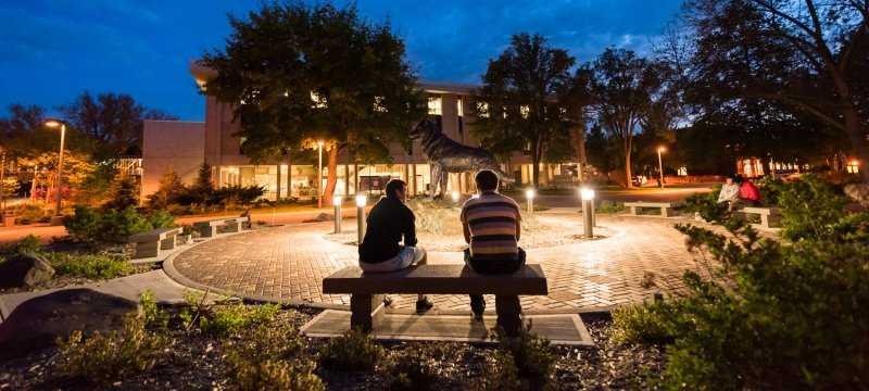 Students sitting around the husky statue at night.