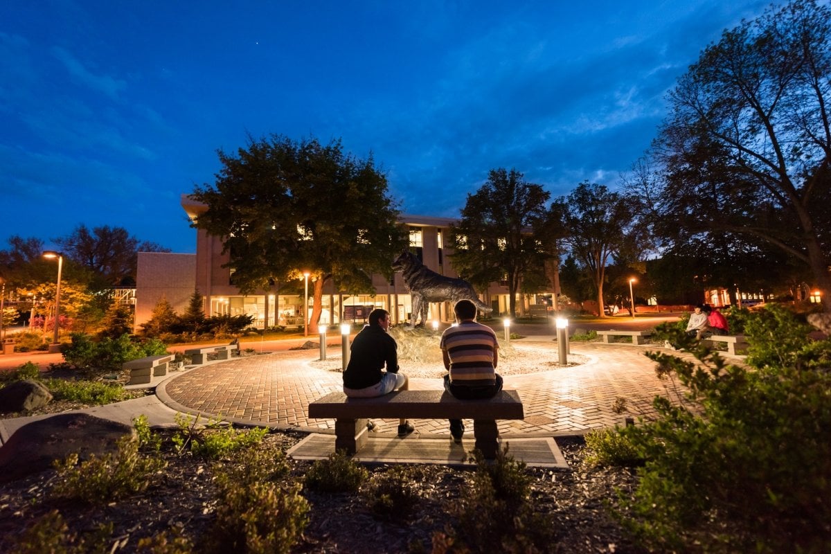 Night photo of the husky statue on campus.