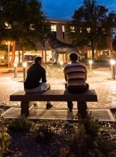 Students sitting around the husky statue at night.