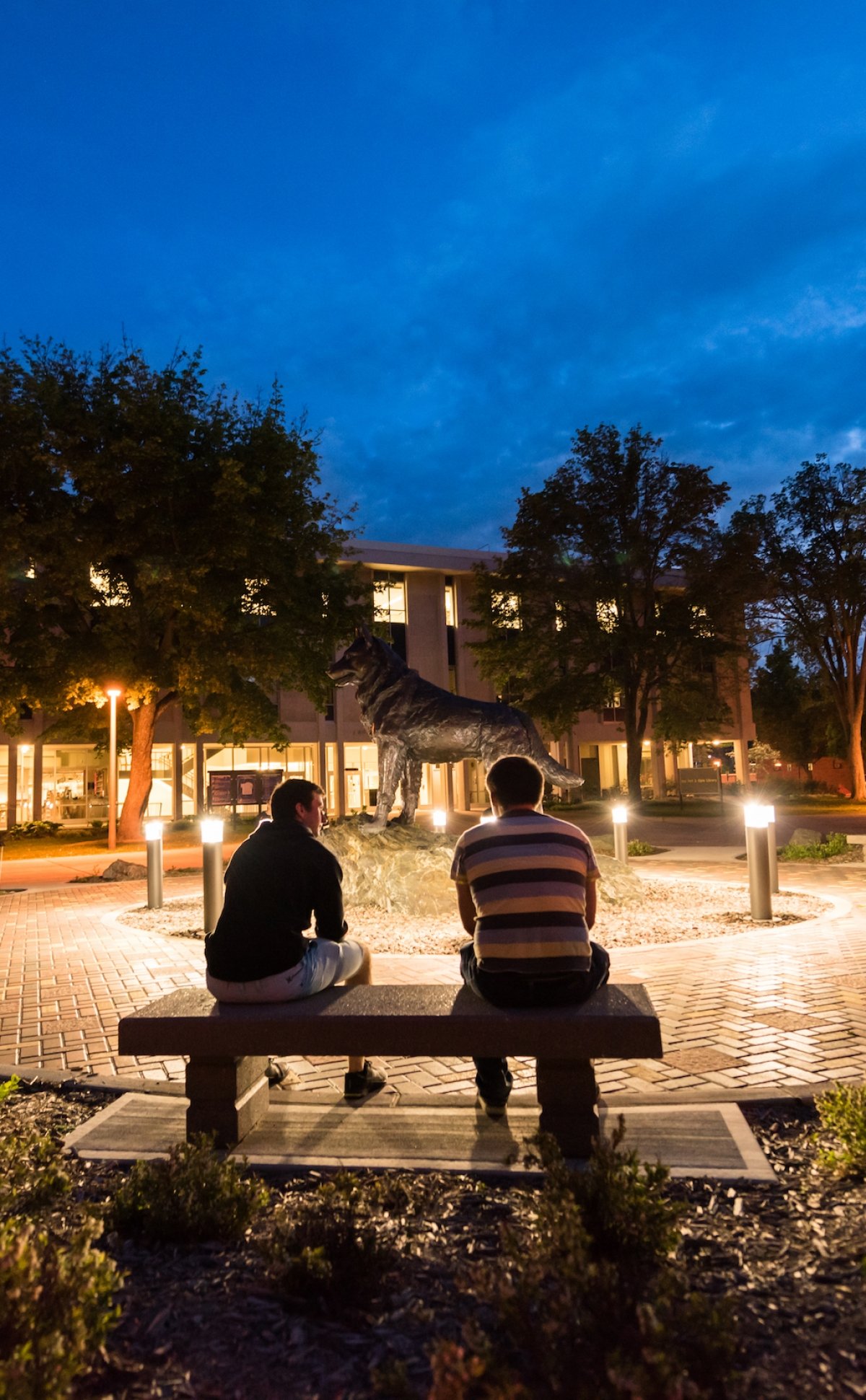 Night photo of the husky statue on campus.