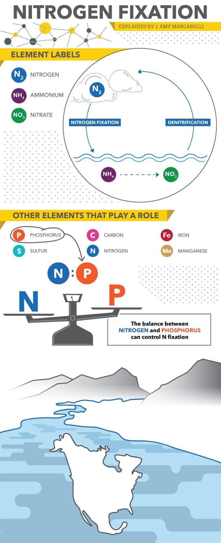 Nitrogen Fixation infographic