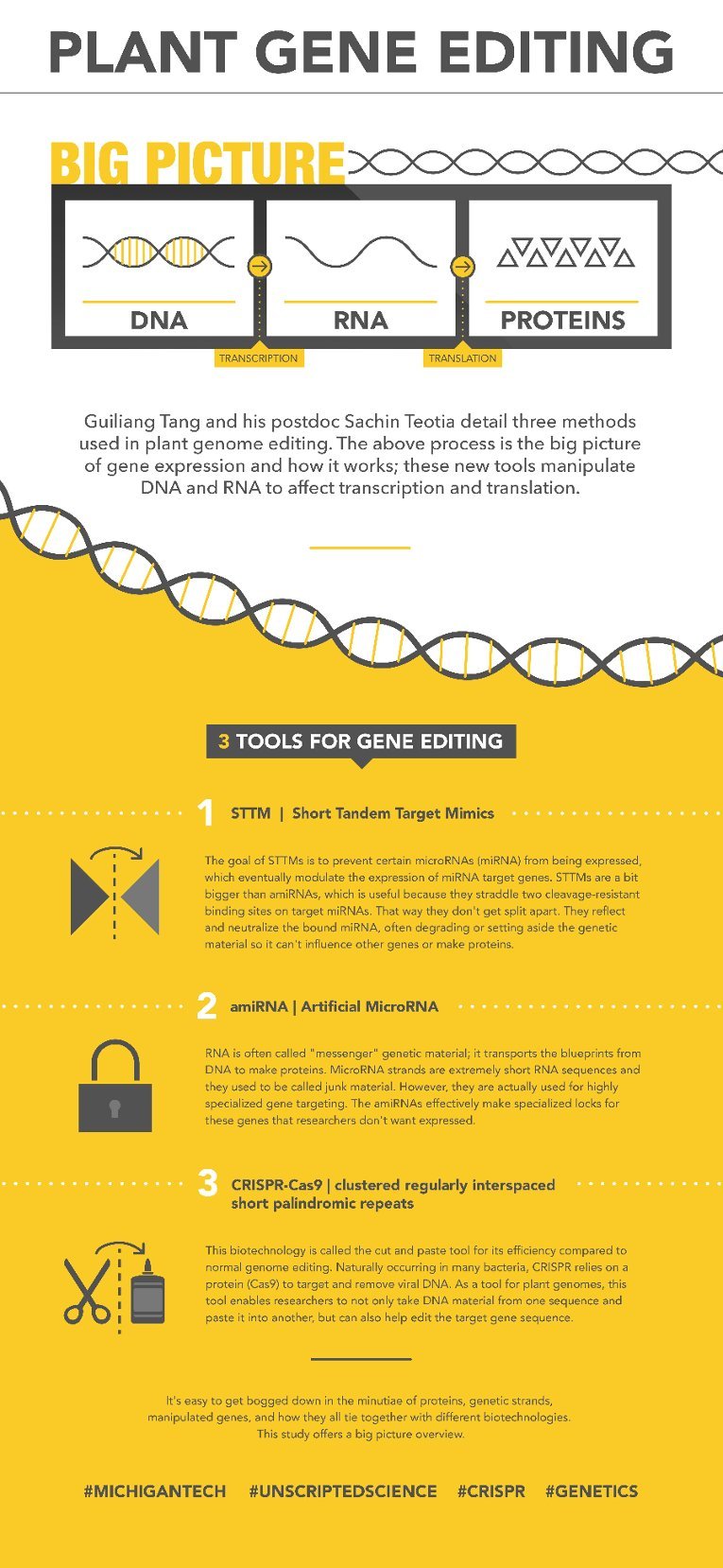 Plant Gene Editing infographic.