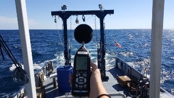 measuring sound levels on deck