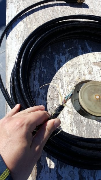 Broken Hydrophone Cable