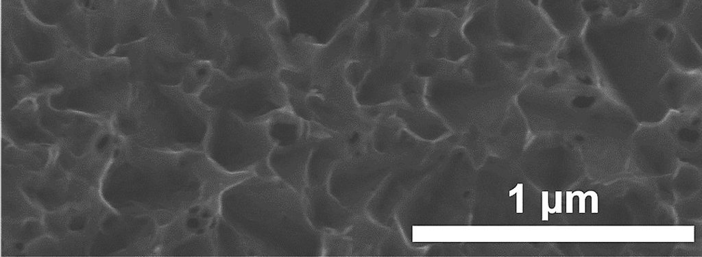 Engineered molybdenum disulfide with flower-like structures has a metallic phase that makes it a better candidate for use in solar technology.