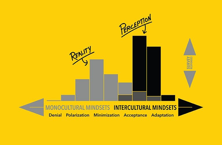 D80 Graph A cultural competency assessment, using a tool like the Intercultural Development Inventory (IDI), is a way to quantify people's perceived and measured cultural awareness and sensitivity?a vital skill for engineers.