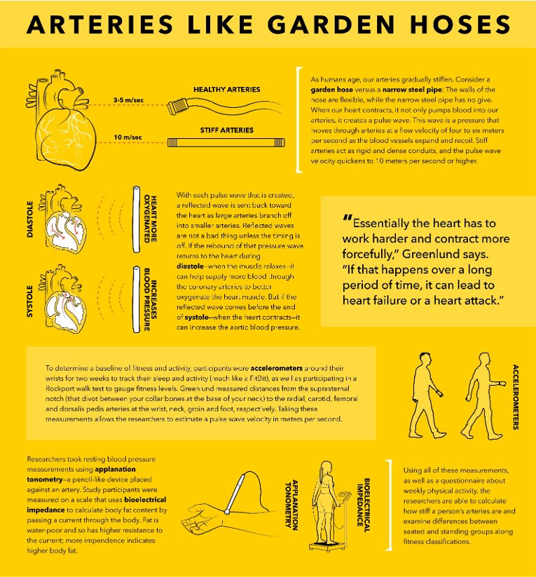 Arteries Like Garden Hoses