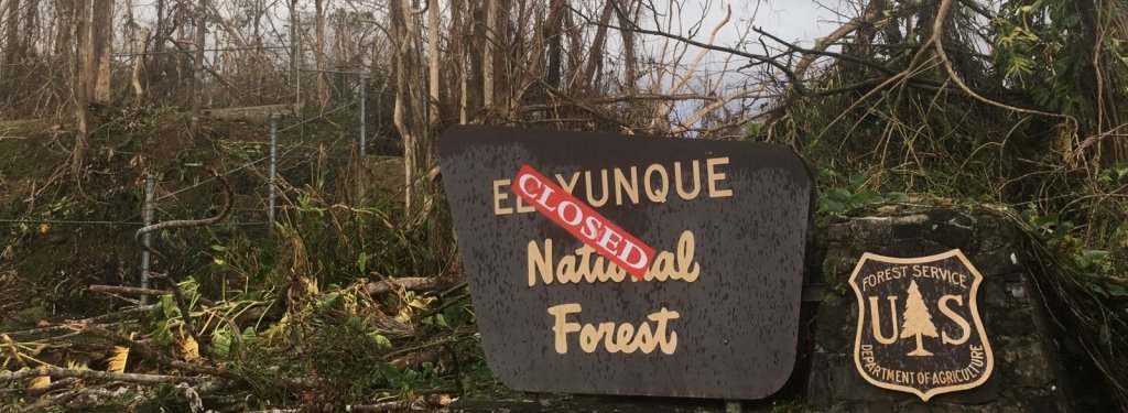 The El Yunque National Forest entrance sign with a closed sign on it and downed trees blocking the road in the background.