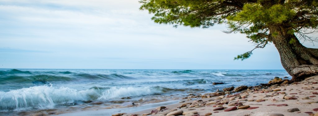 Lake Superior waves come up on the beach covered with stones beside a pine tree.