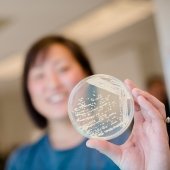 A woman holds a petri dish with a yeast strain in it.