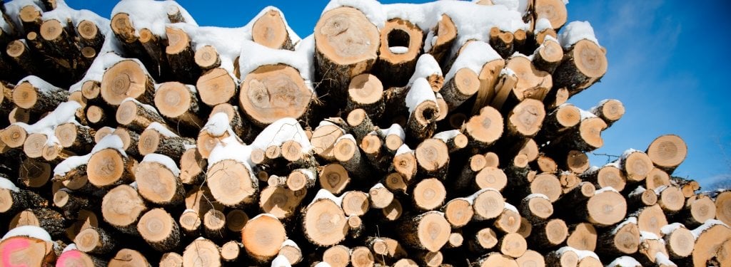 Pile of cut logs with blue sky behind