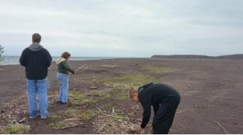 three students pick up sand samples