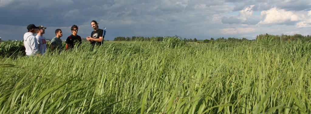 group of students stand in a field of switchgrass