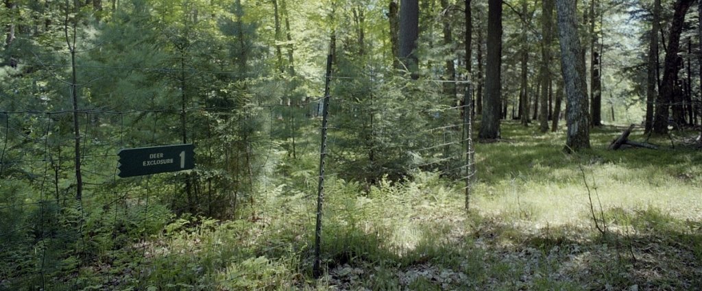 short fence with sign around small trees