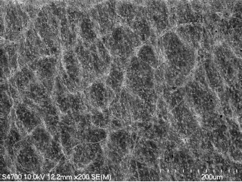 A scanning electron microscope (SEM) image of electrospun polycaprolactone micro- and nano-scale fibers forming a repeatable pattern.