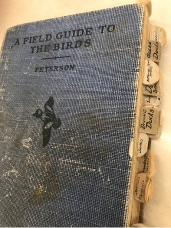 blue canvas bird field guide