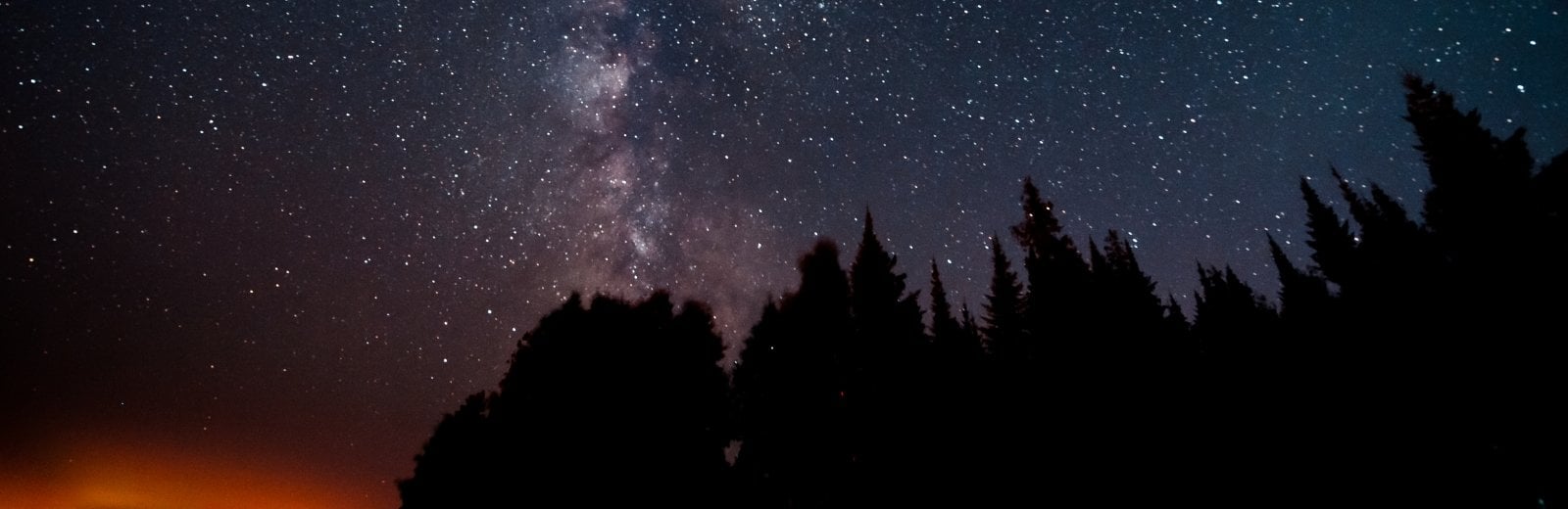 night sky above tree silhouettes 