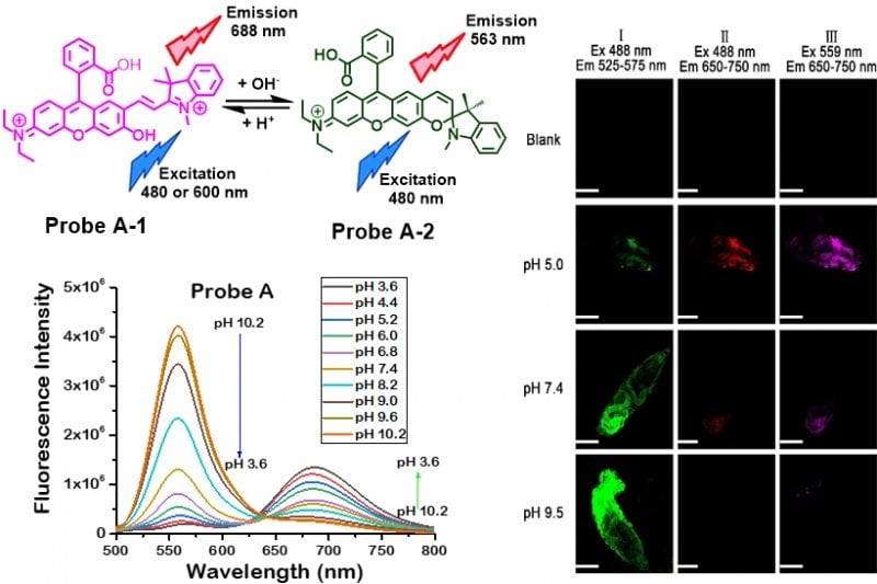 chart with dye molecules and fluorescence brightness at different wavelengths