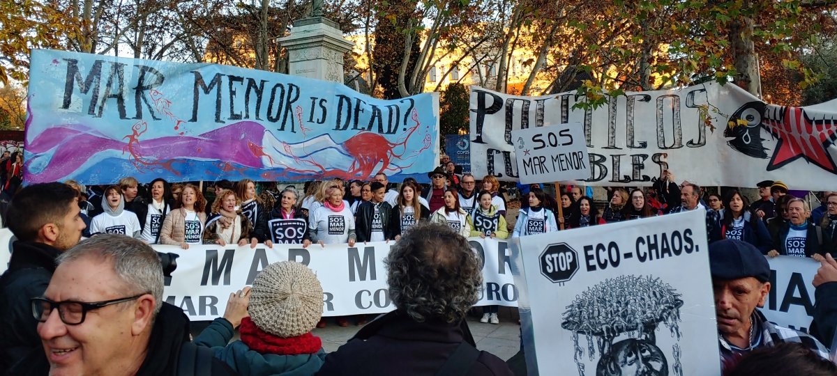 A climate crisis protest in Madrid. The people in the image hold up banners in Spanish that read "Mar Menor is Dead?"