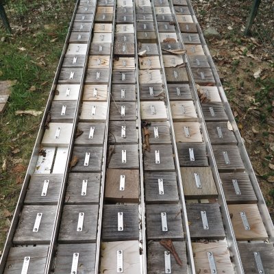 Wood blocks on a test rack at one of the exposure sites.