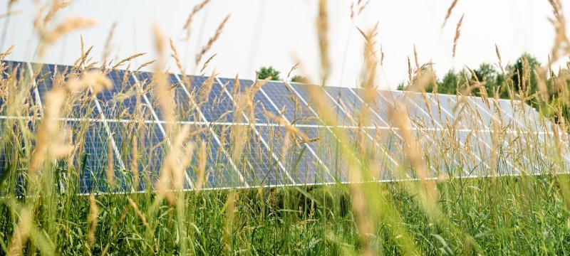 A solar panel in a field of grass.