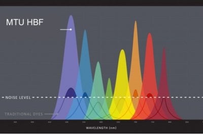 peaks of color high above a dashed line